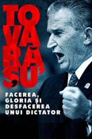 Tovarășu’: facerea, gloria și desfacerea unui dictator (2023), serial Documentar online, watch the series online